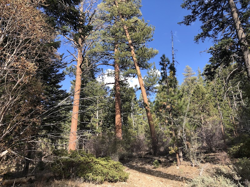 Discover the Enchantment of Sugarloaf National Recreation Trail - Sugarloaf National Recreation Trail 2E18