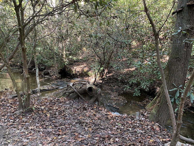 Tranquil Retreat: Carolina Mountain Trail - Carolina Mountain Trail