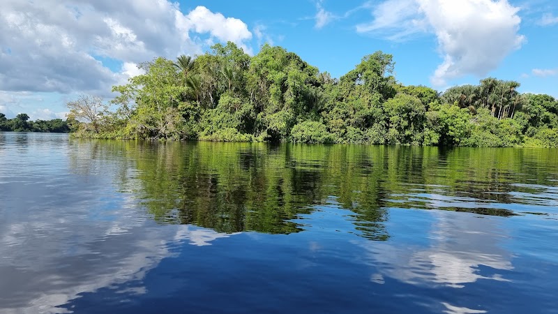 Barcelos, Amazonas adventures