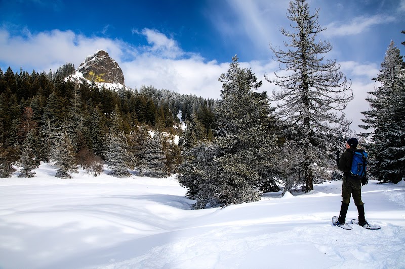 Wilderness Wonder: Soda Mountain Wilderness surrounding landscape