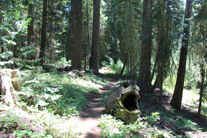 Wilderness Wonder: Soda Mountain Wilderness outdoor detail