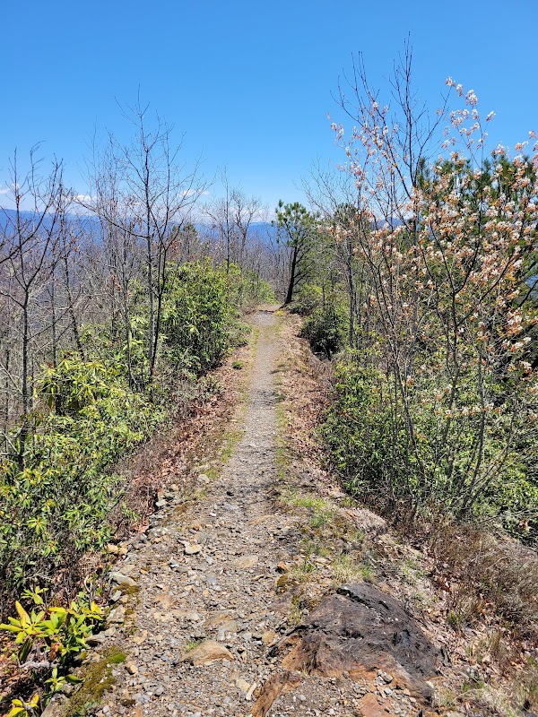 A View to Remember at Lonesome Pine Overlook surrounding landscape