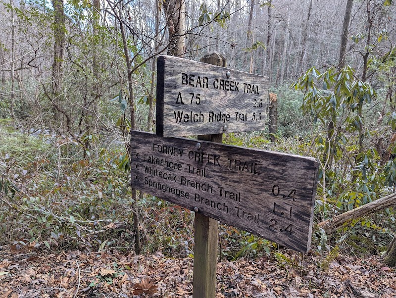 Lakeshore Trail: Gateway to Adventure in Bryson City - Lakeshore Trail Trailhead