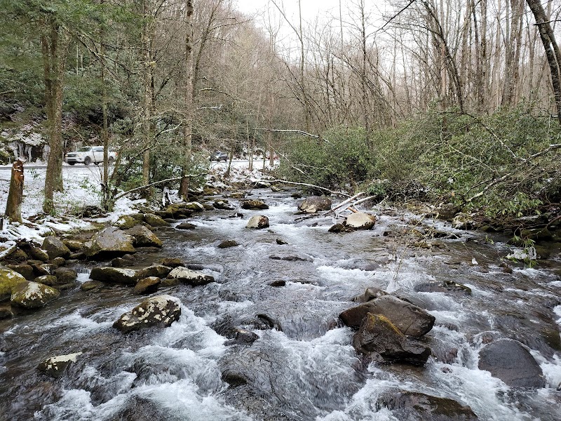 Tranquil Escape: Kephart Prong Trail Trailhead - Kephart Prong Trail Trailhead