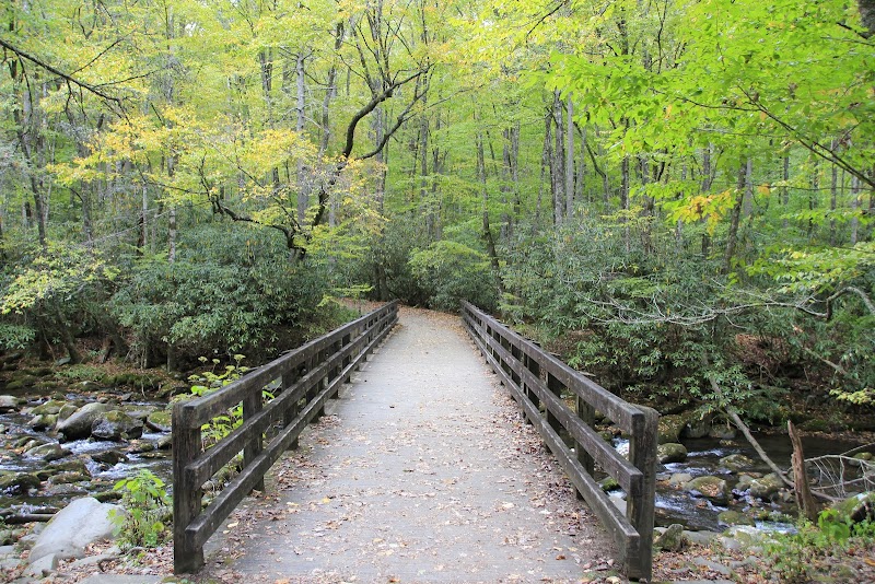 Tranquil Escape: Kephart Prong Trail Trailhead - Kephart Prong Trail Trailhead
