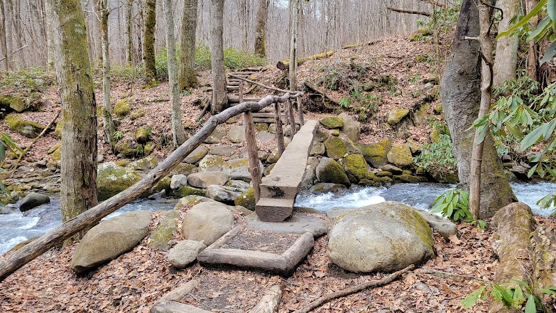 Tranquil Escape: Kephart Prong Trail Trailhead - Kephart Prong Trail Trailhead