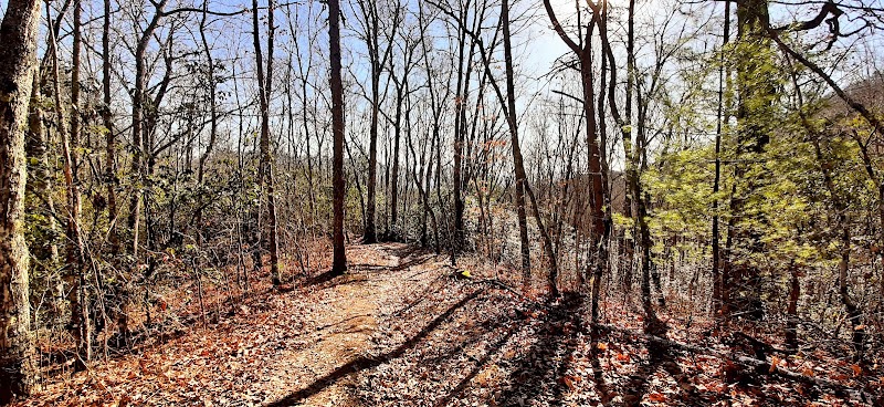 Discover the Noland Divide Trail: A Carolina Gem - Noland Divide Trail Trailhead