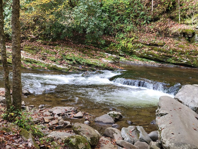 Tranquil Waterfall: Tom Branch Falls outdoor detail