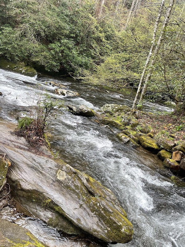 Tranquil Waterfall: Tom Branch Falls - Tom Branch Falls