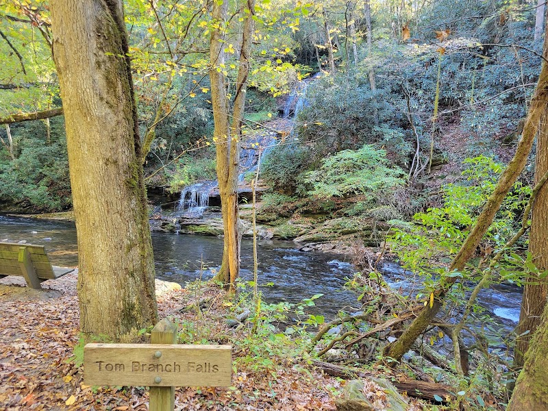Tranquil Waterfall: Tom Branch Falls surrounding landscape