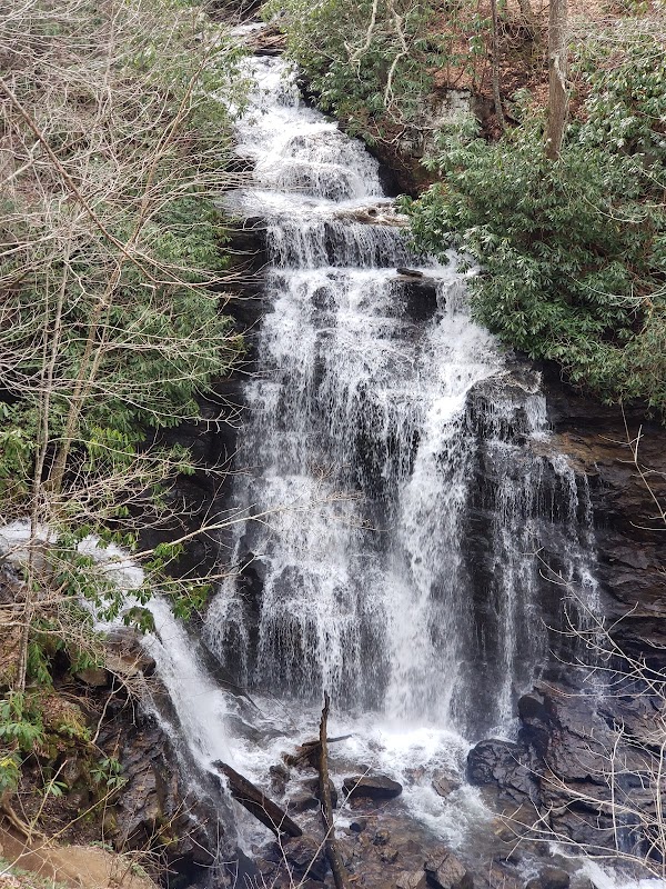 Tranquil Waterfall: Tom Branch Falls - Tom Branch Falls