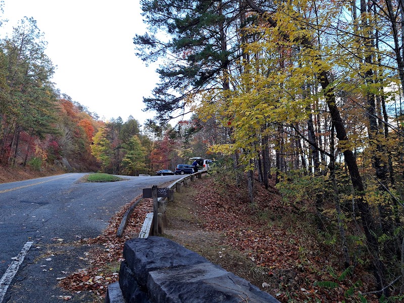 Riverside Serenity at Noland Creek Trailhead surrounding landscape