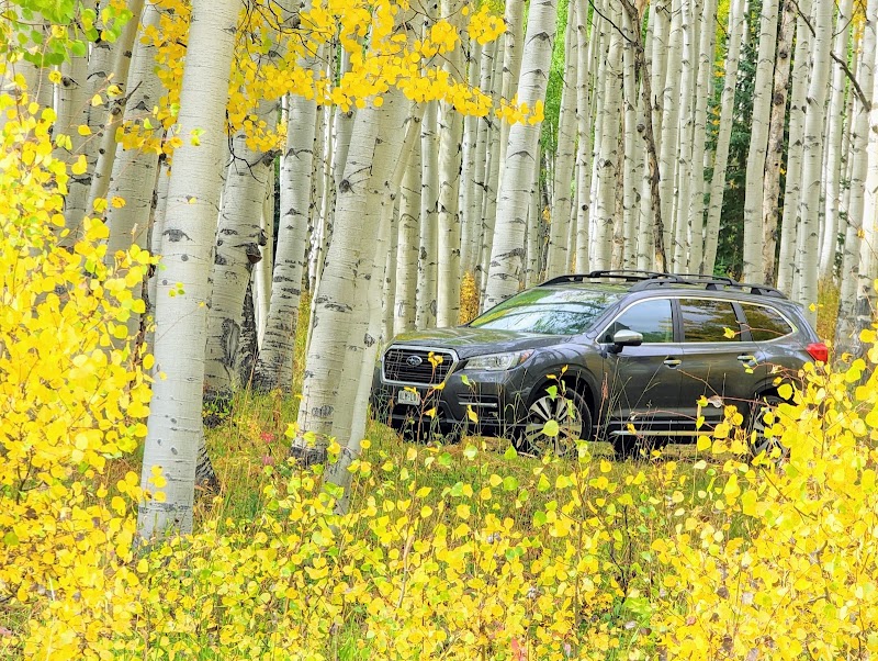 Exploring the Wonders of Cliff Creek Trail surrounding landscape