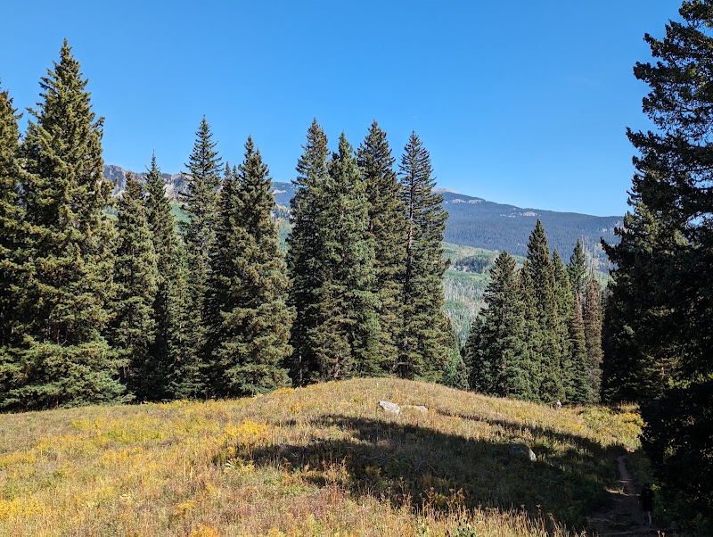 Exploring the Wonders of Cliff Creek Trail outdoor detail