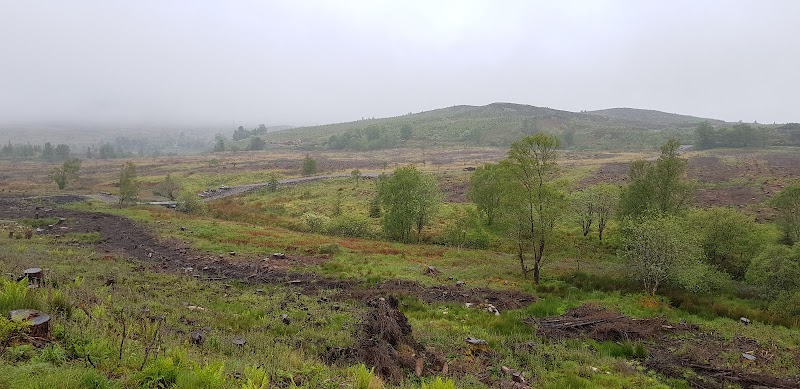 Discover the Beauty of Cnoc Trail outdoor detail