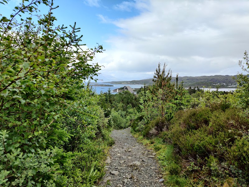 Discover the Beauty of Cnoc Trail surrounding landscape