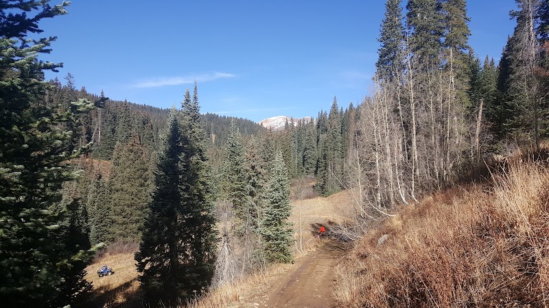 Discover the Charm of Washington Gulch - Washington Gulch