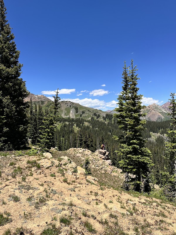Discover the Charm of Washington Gulch - Washington Gulch