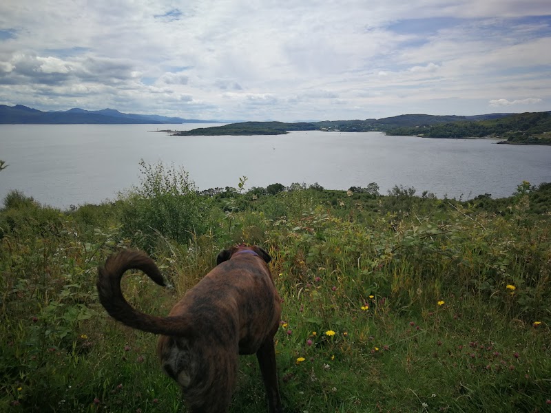 Pathway to Tranquility: Leitir Fura on the Isle of Skye - Leitir Fura