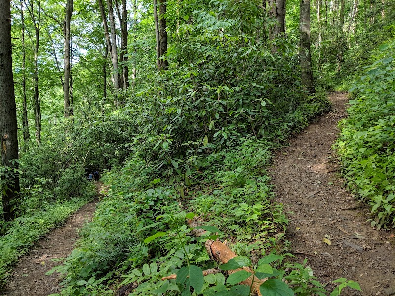 Wilderness Adventure on the Appalachian Trail - Appalachian Trail