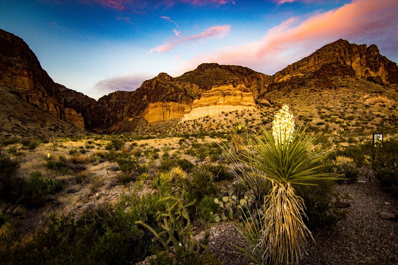 Majestic Landscapes of Big Bend National Park - Big Bend National Park