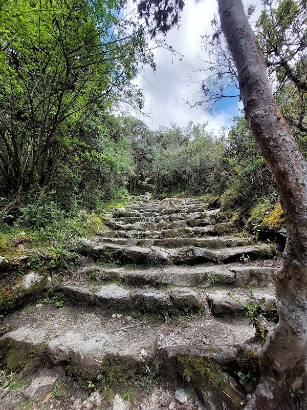 Trekking Along the Historic Inca Trail - Peru Treks | Inca Trail | Tour Operator