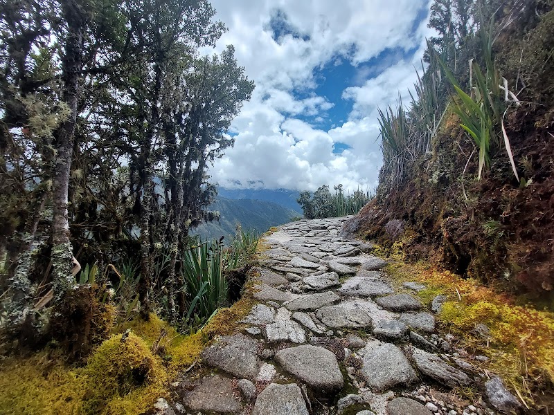Trekking Along the Historic Inca Trail - Peru Treks | Inca Trail | Tour Operator