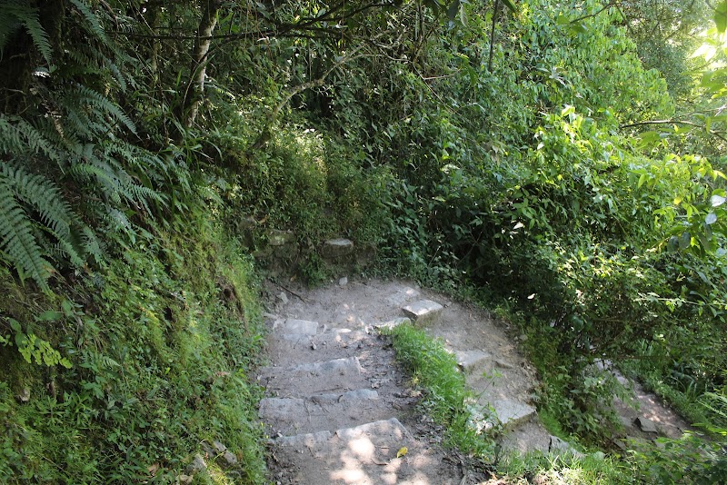 Journey Along the Machu Picchu Hiking Trail - Machu Picchu Hiking Trail