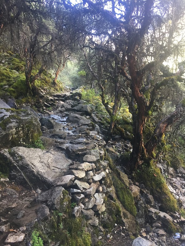 Trail of Wonders: Inca Trail from Cusco - Inca Trail from Cusco | Inca Trail Specialist | Inca Trail 4 Days