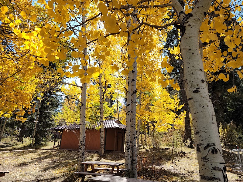 Golden Aspens of Zenith Park - Zenith Park