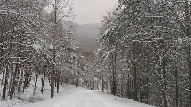Discover the Charm of Holston Mountain - Holston Mountain