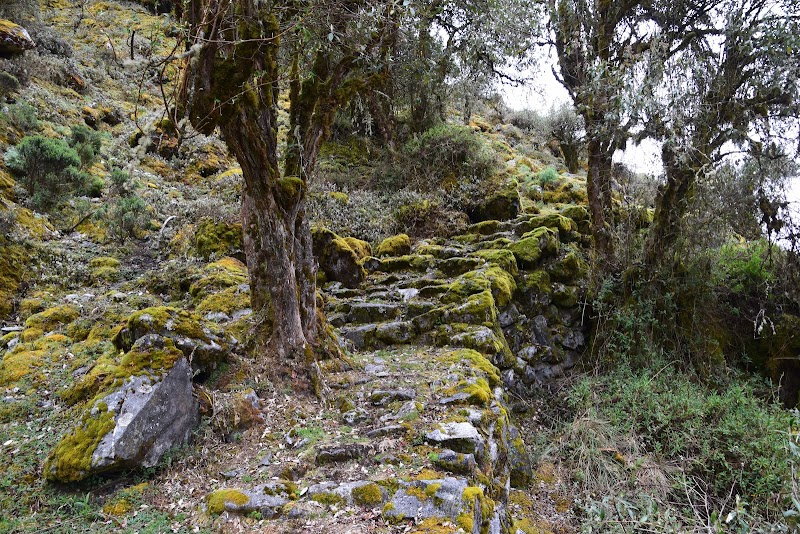 Traverse the Ancient Path: The Old Inca Trail - Old Inca Trail