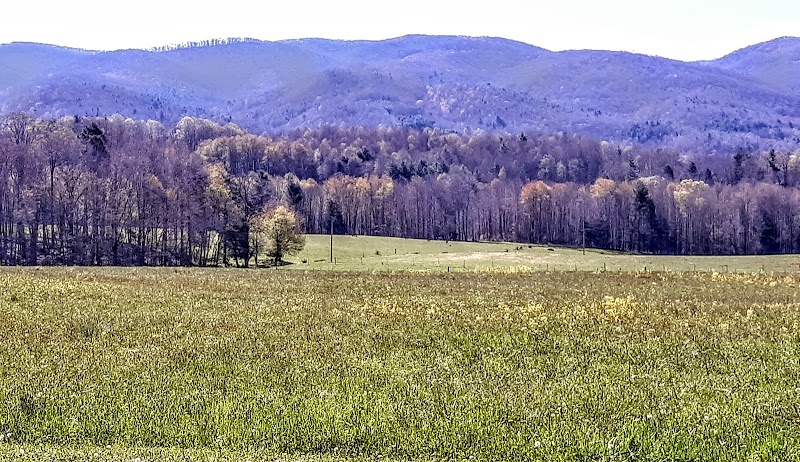 Rolling Green Hills of Shady Valley outdoor detail
