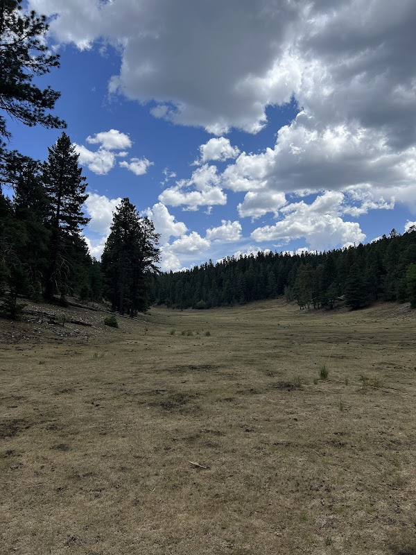 Discover the Natural Splendor of Zinker Canyon Trail Head - Zinker Canyon Trail Head
