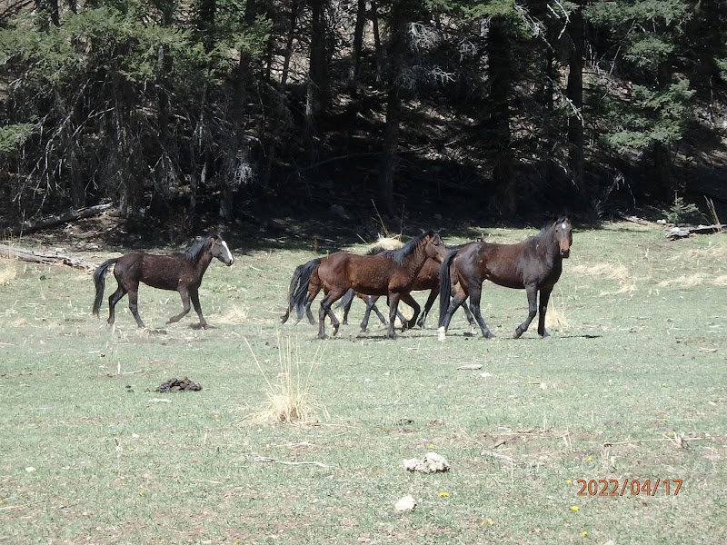 Discover the Natural Splendor of Zinker Canyon Trail Head - Zinker Canyon Trail Head