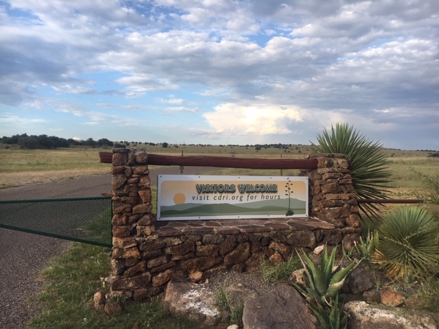 Discover the Wonders of the Chihuahuan Desert - Chihuahuan Desert Research Institute