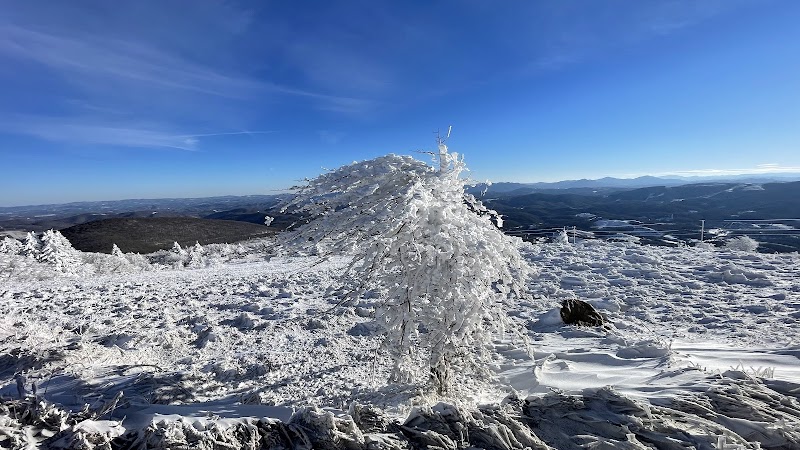 Scenic Escapes: Whitetop Mountain's Natural Wonder outdoor detail