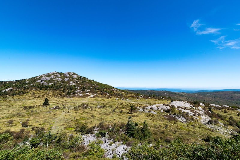 Mount Rogers National Recreation Area: Virginia's Wild Wonderland - Mount Rogers National Recreation Area