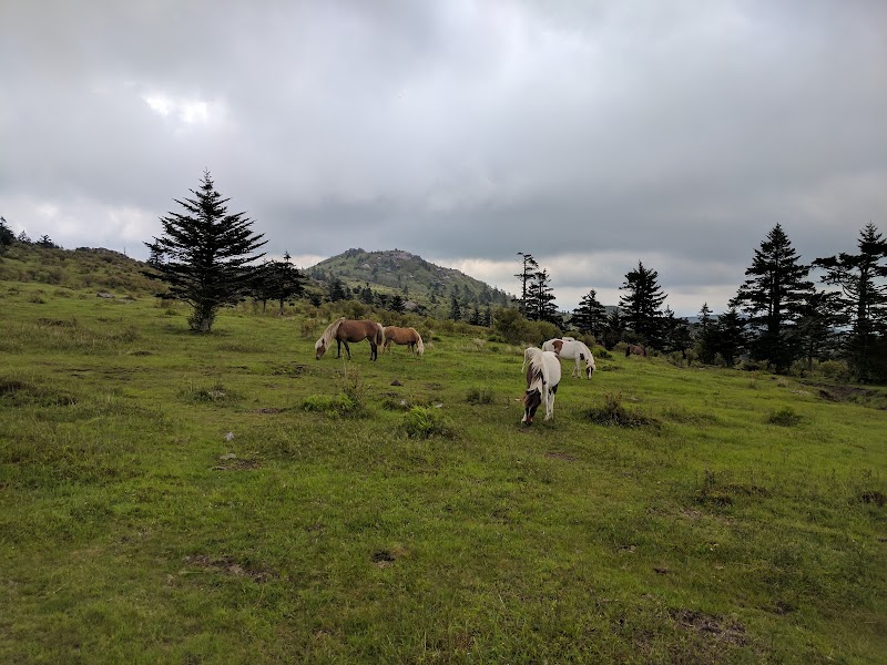 Mount Rogers National Recreation Area: Virginia's Wild Wonderland - Mount Rogers National Recreation Area
