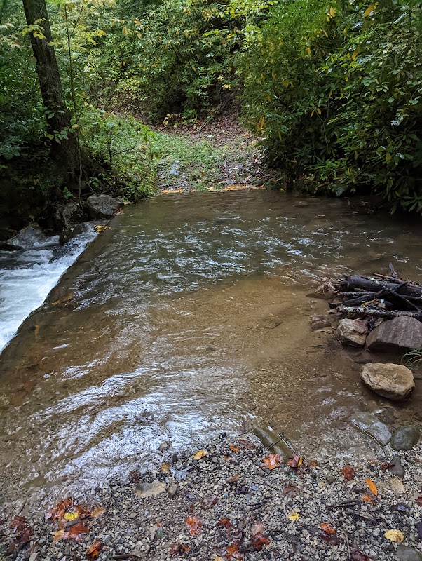 Mount Rogers National Recreation Area: Virginia's Wild Wonderland - Mount Rogers National Recreation Area