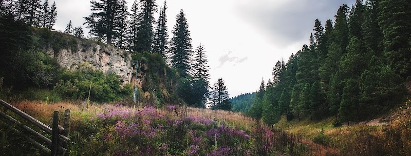 Exploring the Majestic Lincoln National Forest - Lincoln National Forest