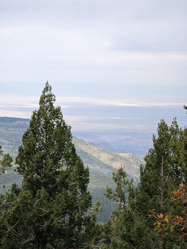 Cathey Vista: Nature's Panoramic Bliss in Cloudcroft - Cathey Vista Trailhead