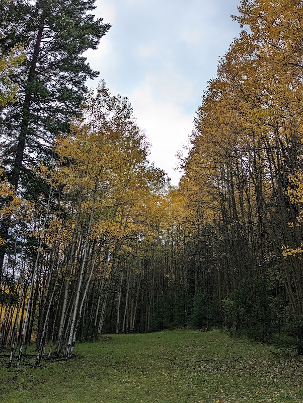 Upper Karr Recreation Area, Lincoln National Forest adventures