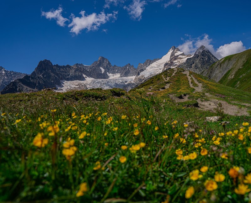 Trek Through the Majestic Tour du Mont Blanc - Tour Du Mont Blanc