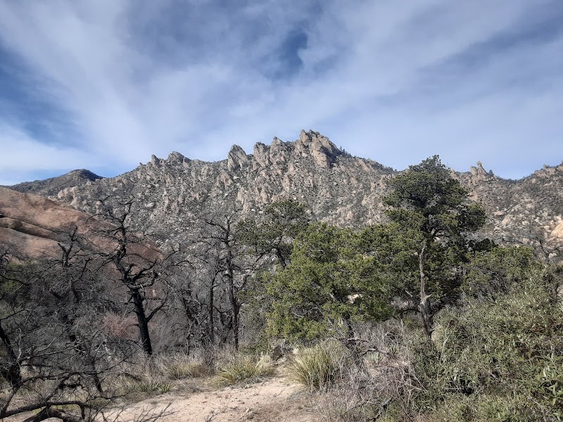 Pinnacle Ridge: A Natural Marvel in Arizona - Pinnacle Ridge