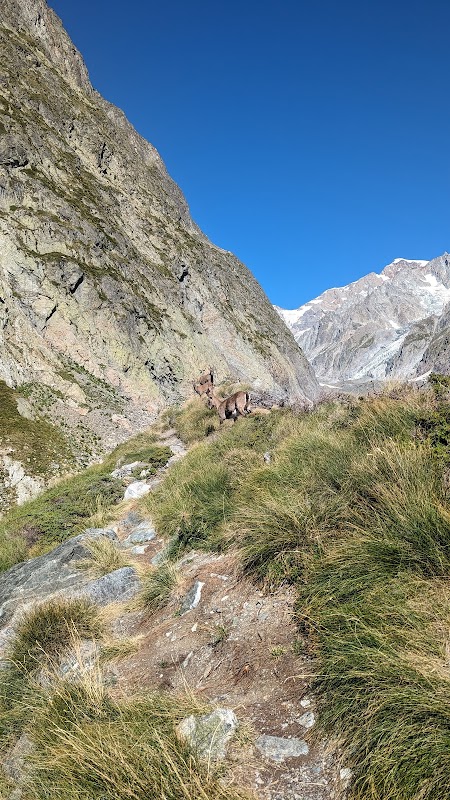 Majestic Peaks of the Tour du Mont Blanc - Tour du Mont Blanc