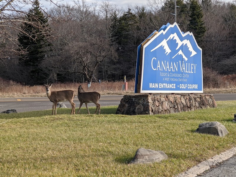 Escape to Canaan Valley's Natural Beauty surrounding landscape