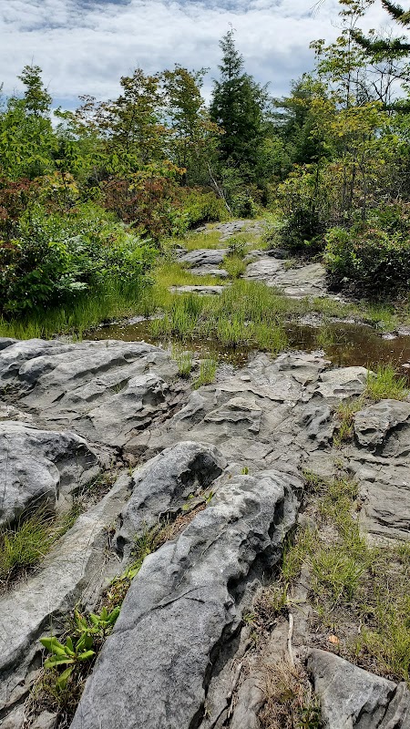 Moon Rocks: A Geologist's Dream in West Virginia - Moon Rocks