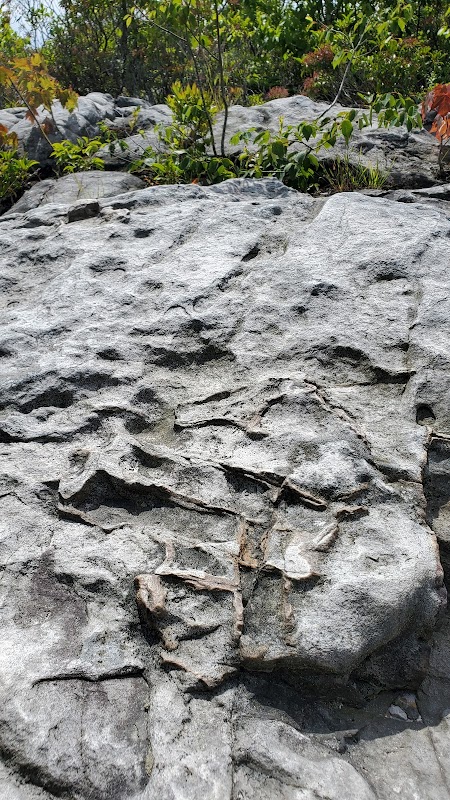 Moon Rocks: A Geologist's Dream in West Virginia - Moon Rocks