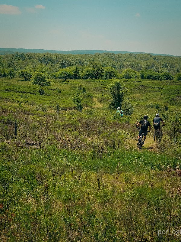 Moon Rocks: A Geologist's Dream in West Virginia surrounding landscape